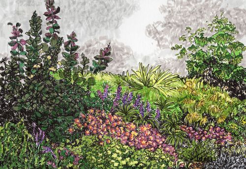 Garden Illustration 101