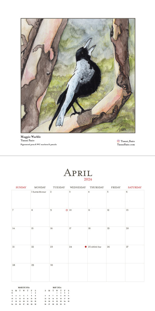 April 2024 calendar page featuring an illustration titled 'Magpie Warble' by Tianni Fazio. The artwork depicts a detailed close-up of an Australian magpie perched on a tree branch.